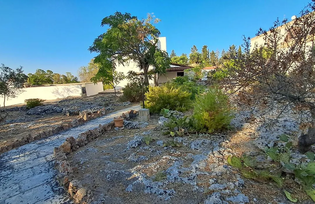Masseria Artemisia-1